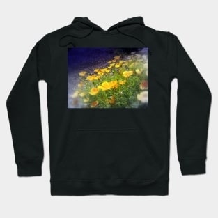 california poppies 4 Hoodie